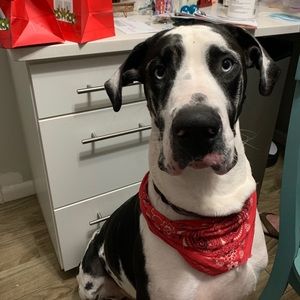 Meet your Posher, Roberta